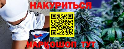 индика Заволжье