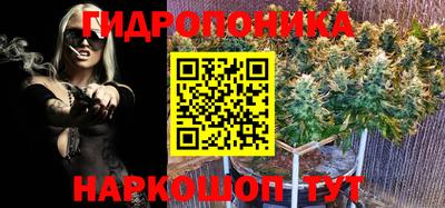 индика Заволжье