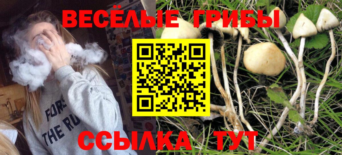 Галлюциногенные грибы мицелий  Вход с VPN  Лосино-Петровский  Псилоцибиновые грибы прущие грибы 
