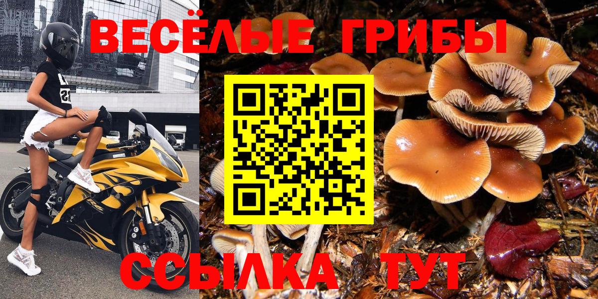 Псилоцибиновые грибы Magic Shrooms Лосино-Петровский