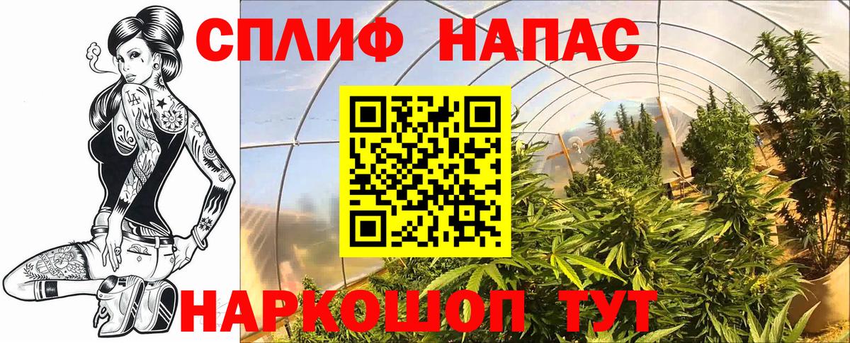 Шишки марихуана конопля  Вход с VPN  Бошки марихуана Amnesia  Лосино-Петровский  МАРИХУАНА LSD WEED  Бошки Шишки White Widow 